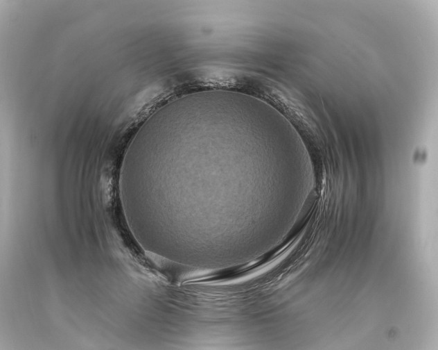 X0000094180600200711021007