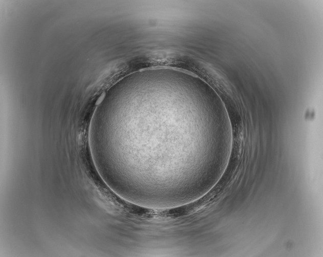 X0000094180601200711021007