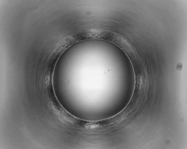 X0000094180602200711021007