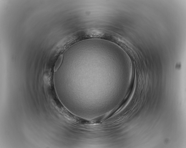 X0000094180604200711021007