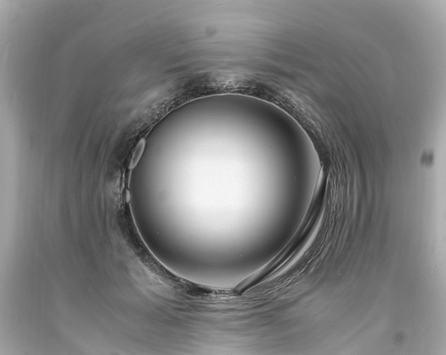 X0000094180605200711021007