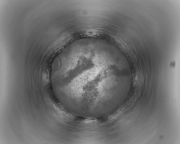 X0000094180606200711021007