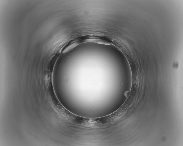 X0000094180607200711021007