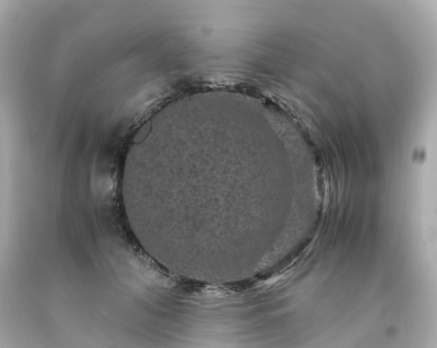 X0000094180608200711021007