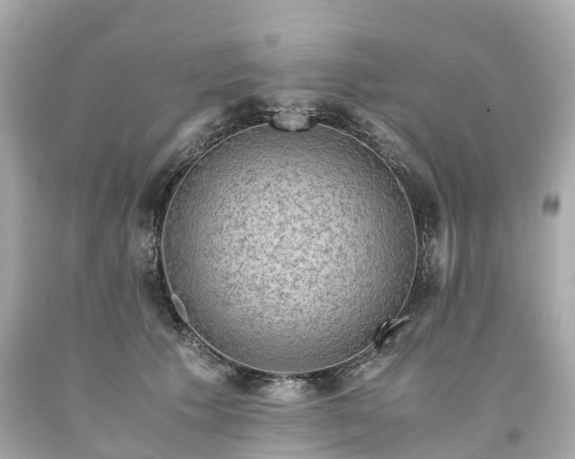 X0000094180609200711021007