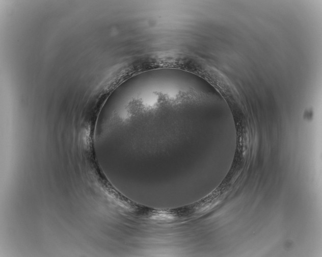 X0000094180610200711021007