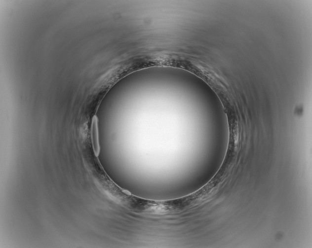 X0000094180611200711021007