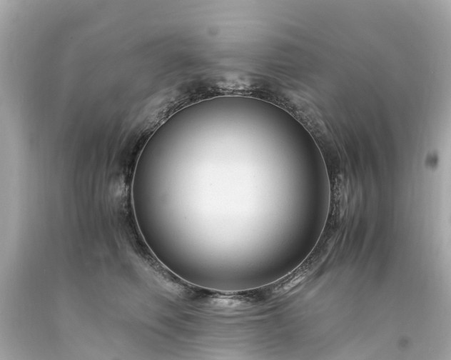 X0000094180614200711021007