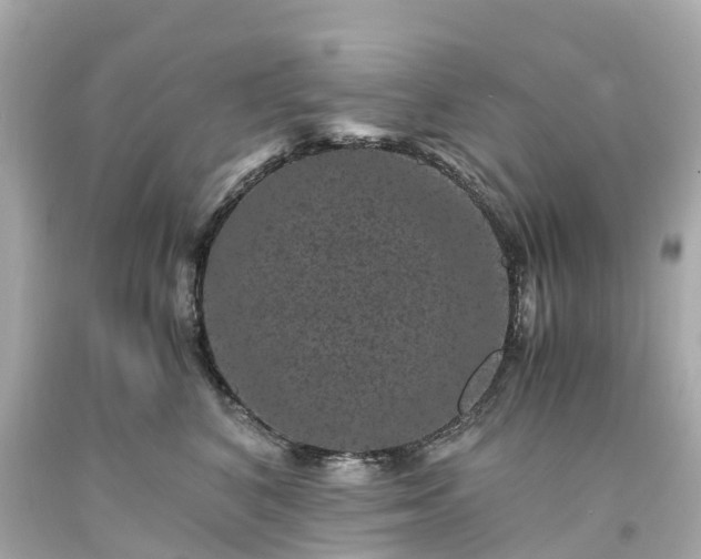 X0000094180616200711021007