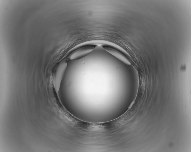 X0000094180617200711021007