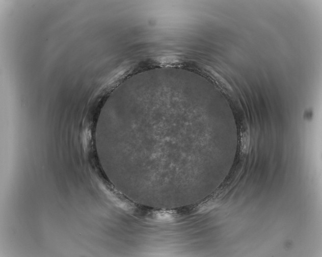 X0000094180618200711021007