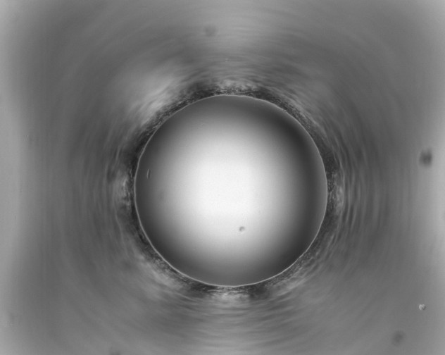 X0000094180619200711021007