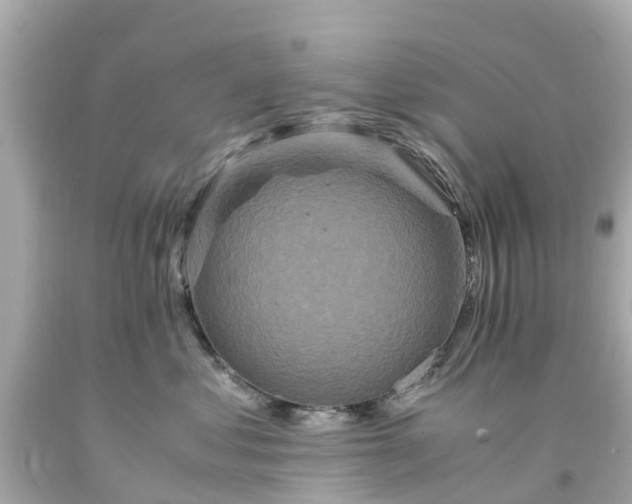 X0000094180621200711021006