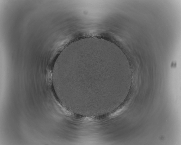 X0000094180624200711021006