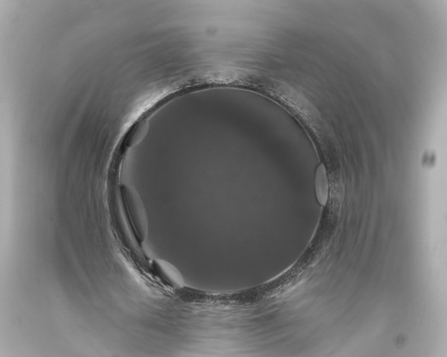 X0000094180626200711021006