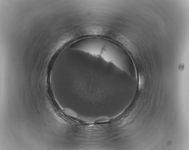 X0000094180627200711021006