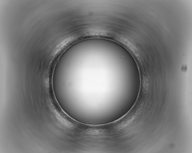 X0000094180629200711021006
