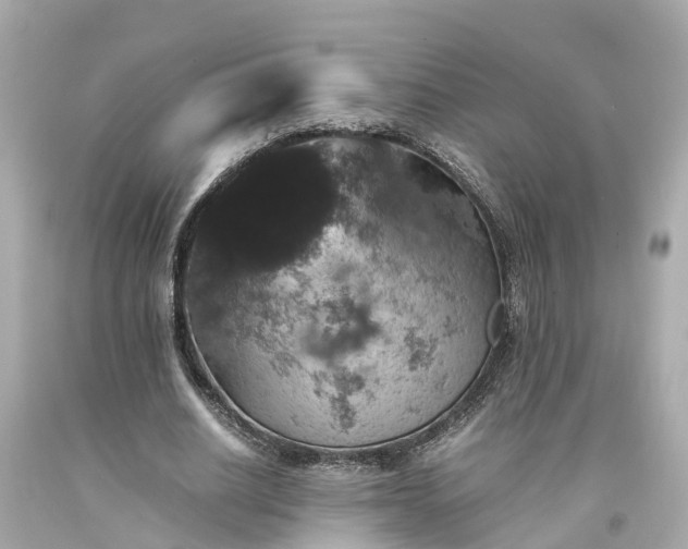 X0000094180630200711021006