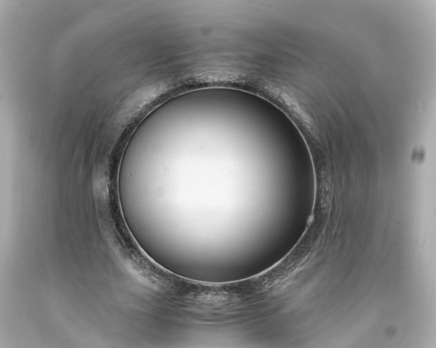 X0000094180631200711021006