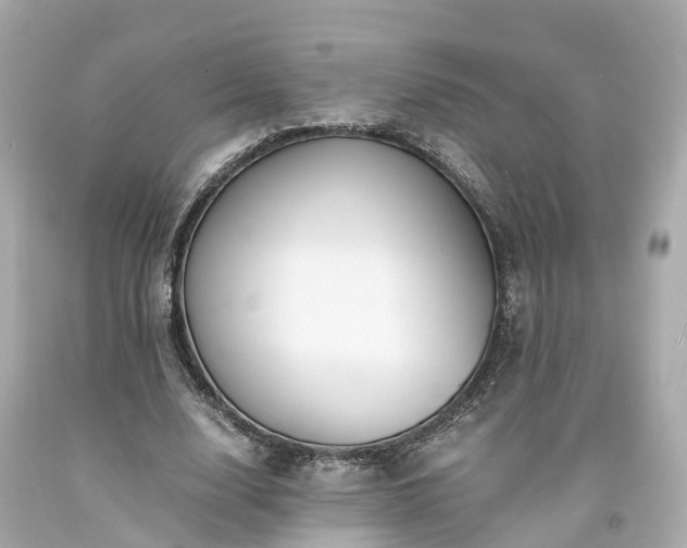 X0000094180632200711021006