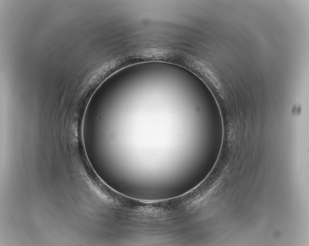 X0000094180633200711021006