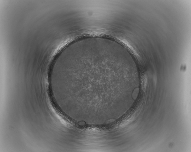 X0000094180634200711021006