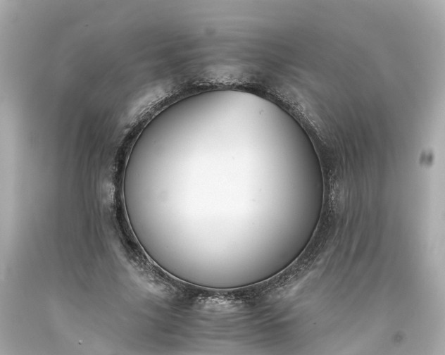 X0000094180635200711021006
