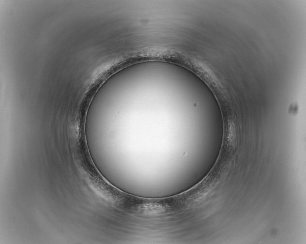 X0000094180636200711021006