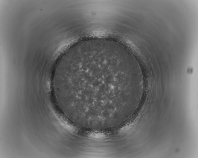 X0000094180640200711021006