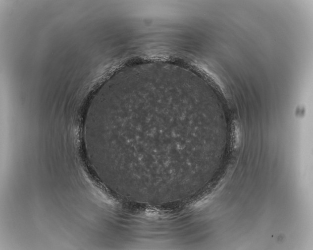 X0000094180641200711021006