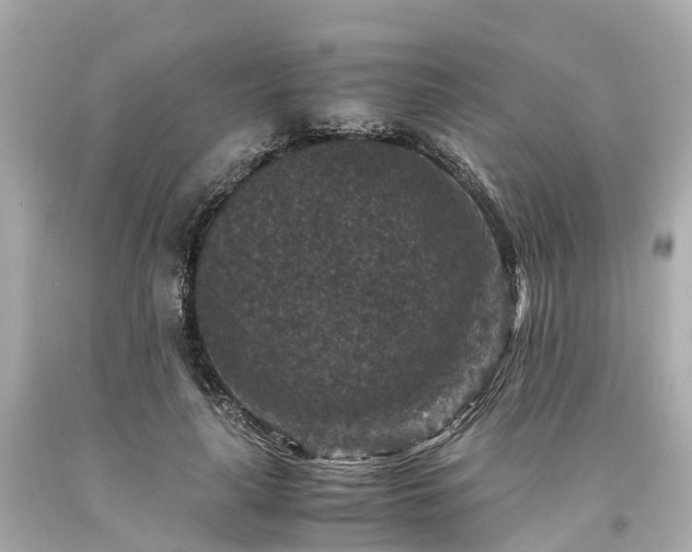 X0000094180643200711021006