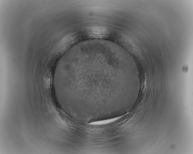 X0000094180647200711021006