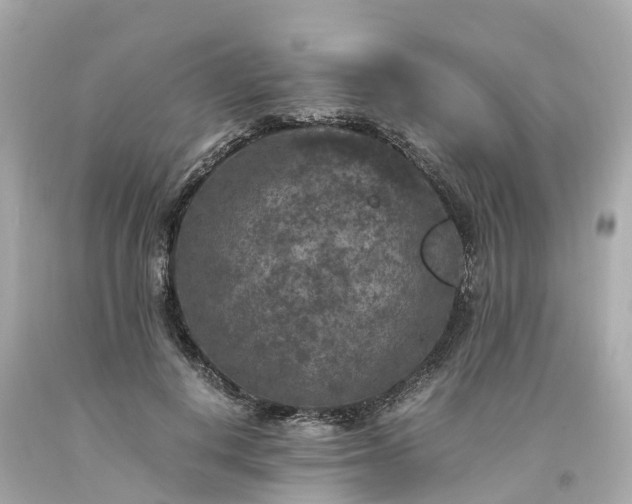 X0000094180648200711021006
