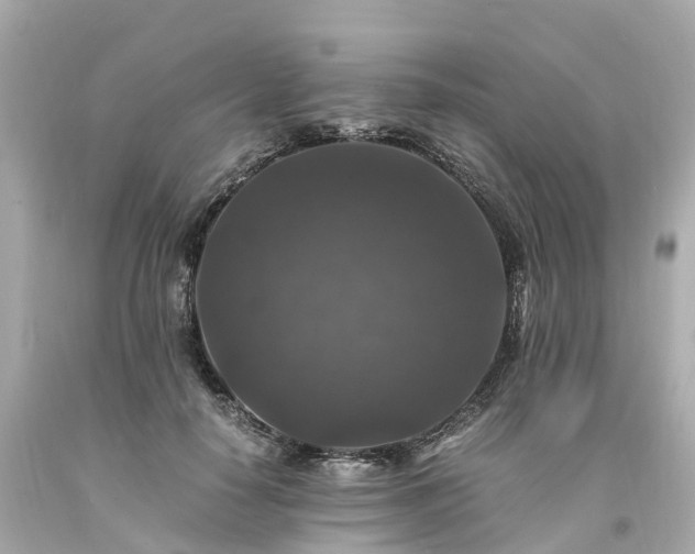 X0000094180650200711021006