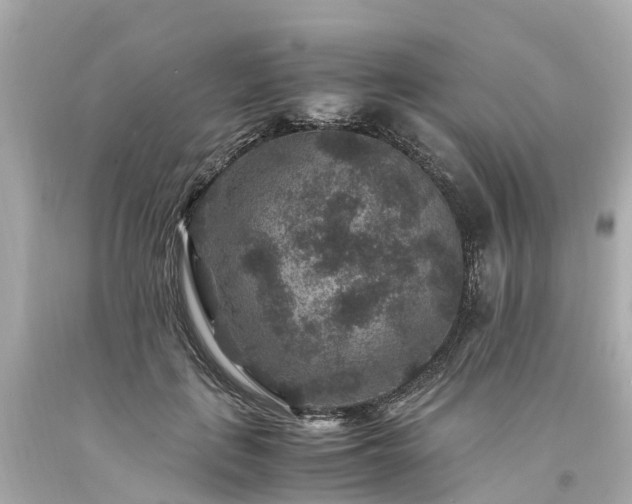 X0000094180651200711021006