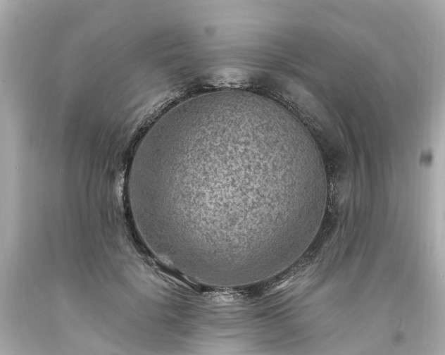 X0000094180652200711021006