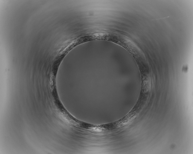 X0000094180654200711021006