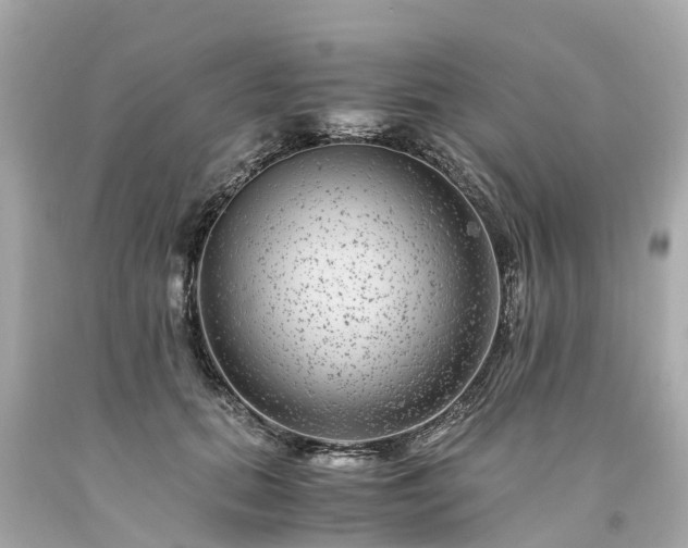 X0000094180655200711021006