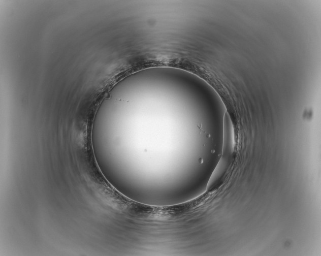 X0000094180656200711021006