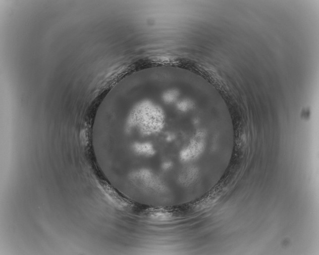 X0000094180658200711021006