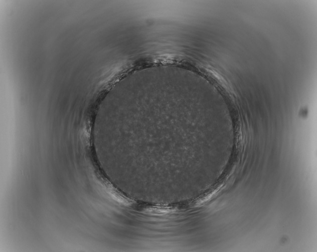 X0000094180661200711021006
