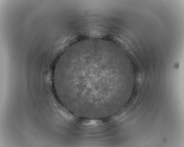 X0000094180663200711021006