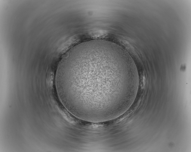 X0000094180664200711021006