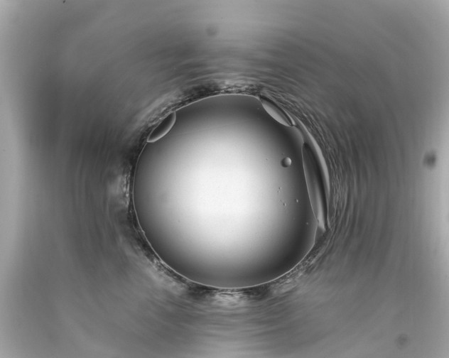 X0000094180666200711021006
