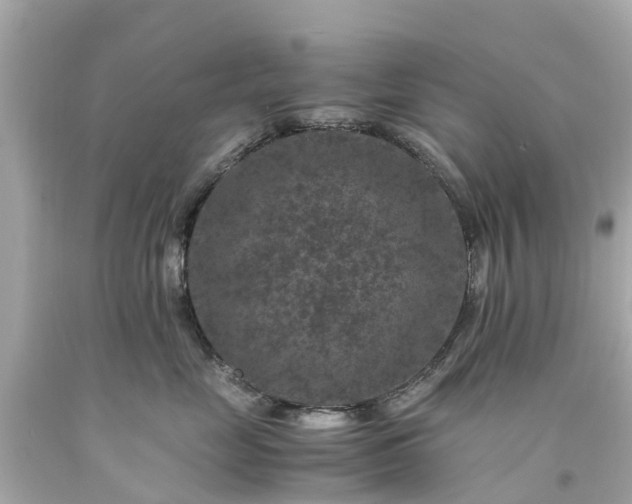 X0000094180669200711021006