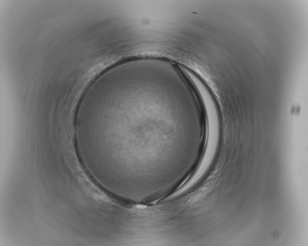 X0000094180673200711021006