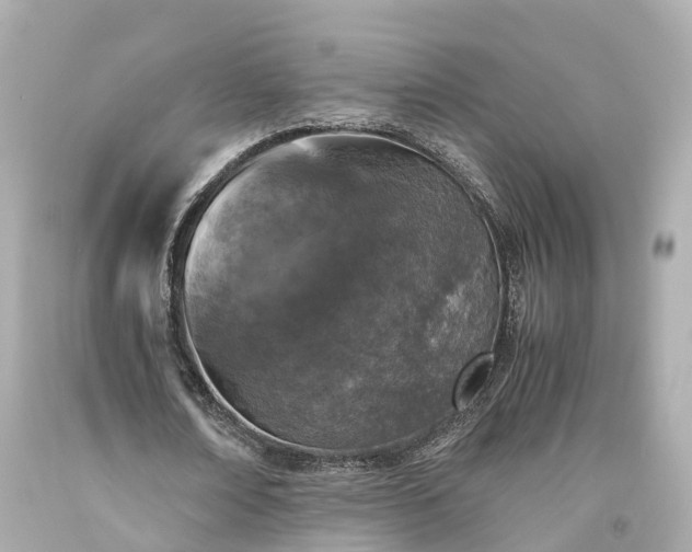 X0000094180674200711021006