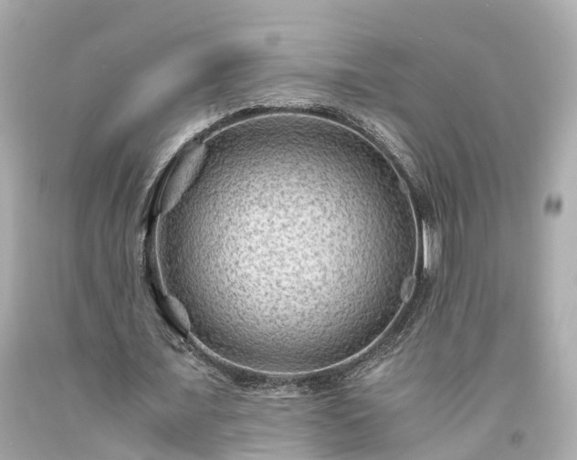 X0000094180675200711021006