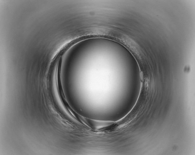 X0000094180676200711021006