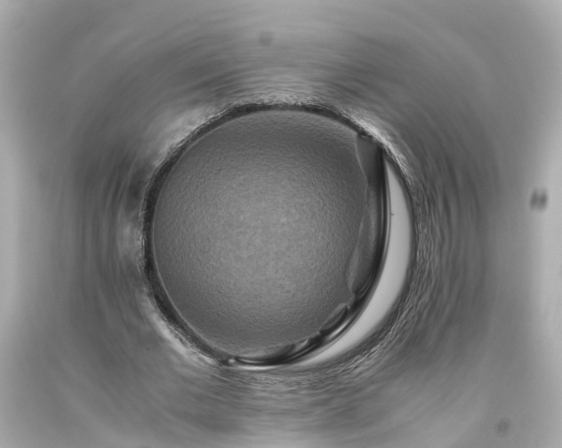 X0000094180677200711021006